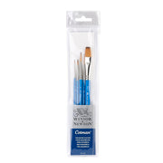 Winsor & Newton Cotman akvarelinių teptukų rinkinys 5 vnt., Nr. 0, 2, 4, 6 ir plokščias 13 mm