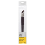 Winsor & Newton Galeria teptukų rinkinys akrilui ir aliejui 3 vnt., Nr. 2, 4, 8